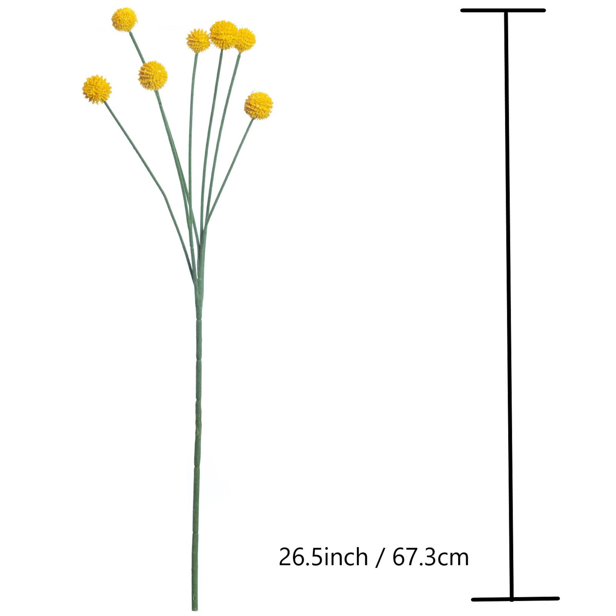 Yellow Billy Ball Stem by Ashland®